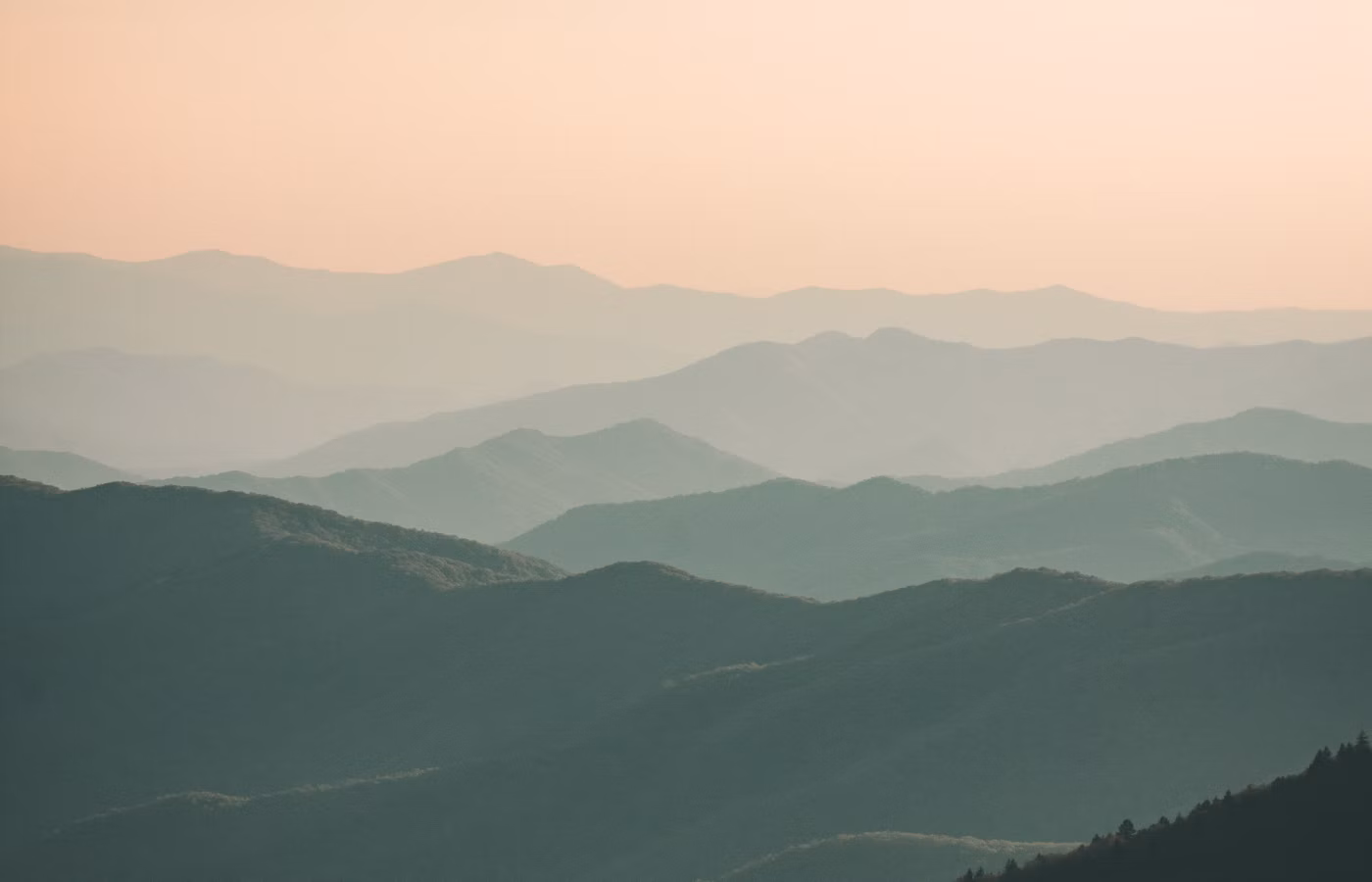 Ресурс для творческого профессионала